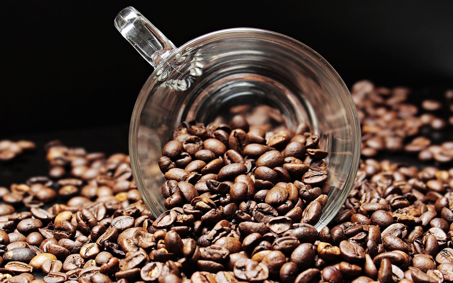 CAFÉ