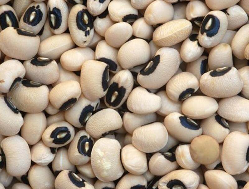 FRIJOLES CASTILLAS