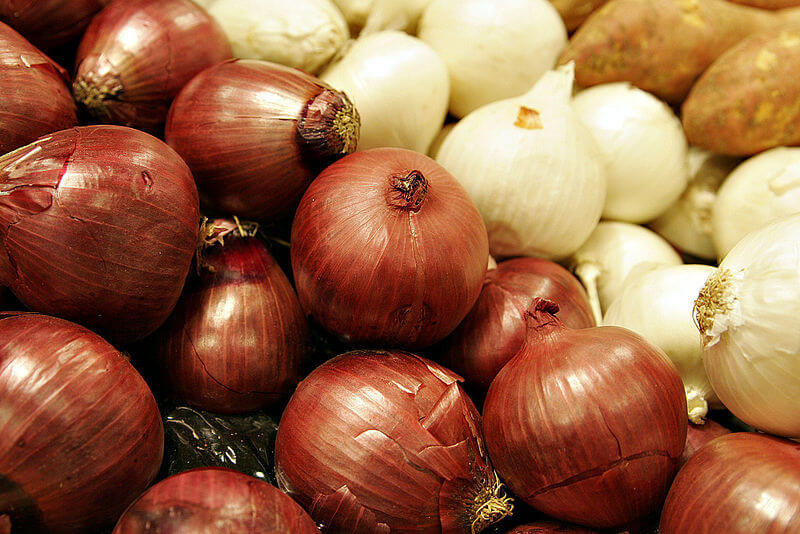 CEBOLLA