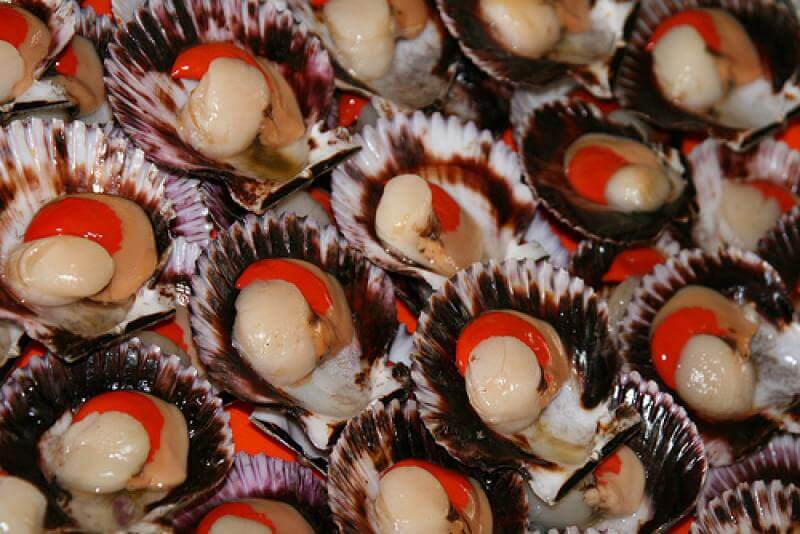 CONCHAS DE ABANICO