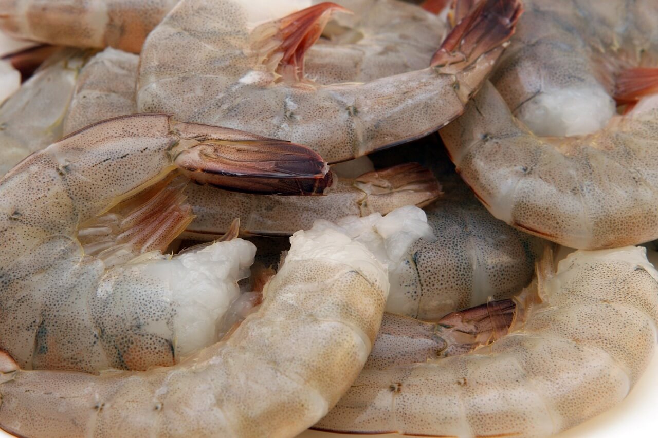 CAMARONES