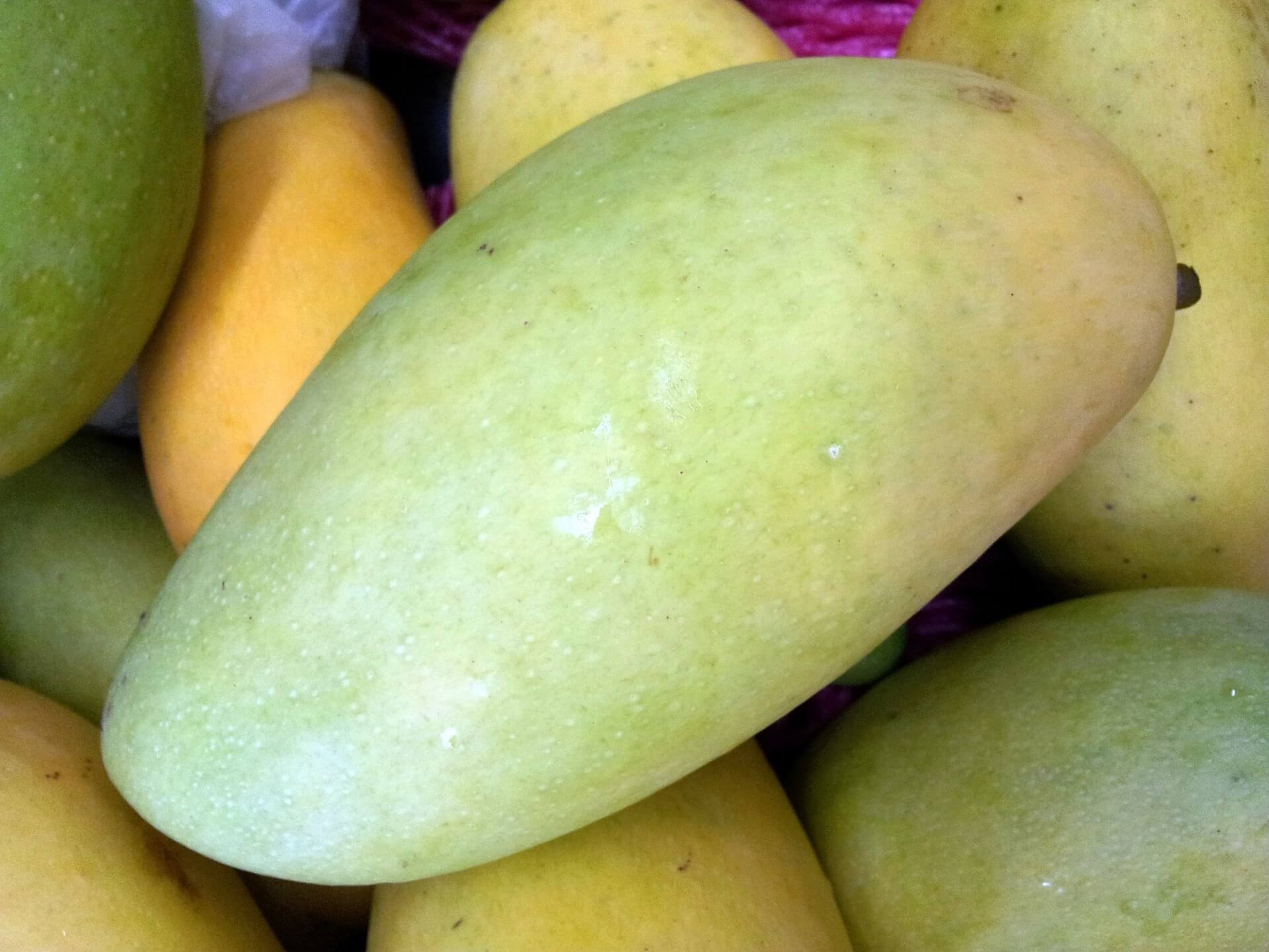 MANGO