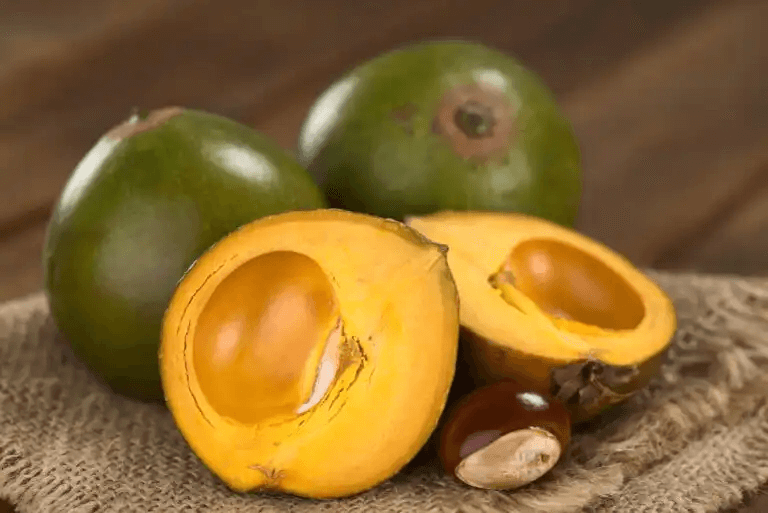 LÚCUMA